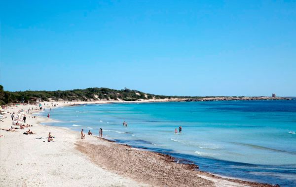 Playa en Ibiza Las Salinas